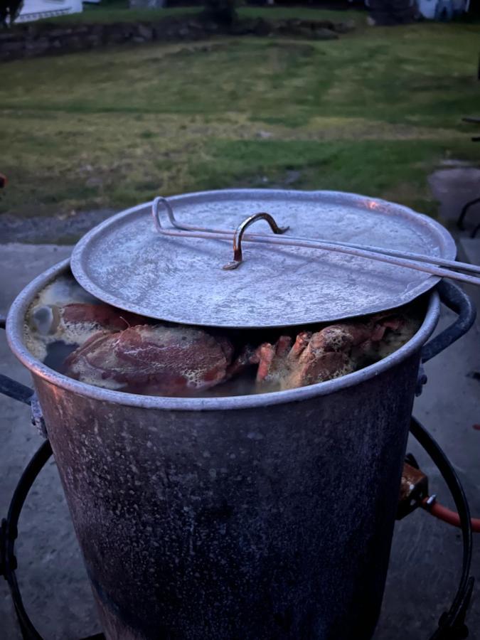 Reistad Ranch Rasvag Zewnętrze zdjęcie